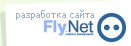 Разработка сайта — FlyNet