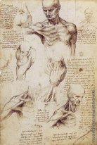 Леонардо да Винчи - родоначальник анатомии 