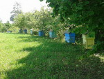 ТОП-10 лучших сайтов для поиска и продажи фермерского мёда в России